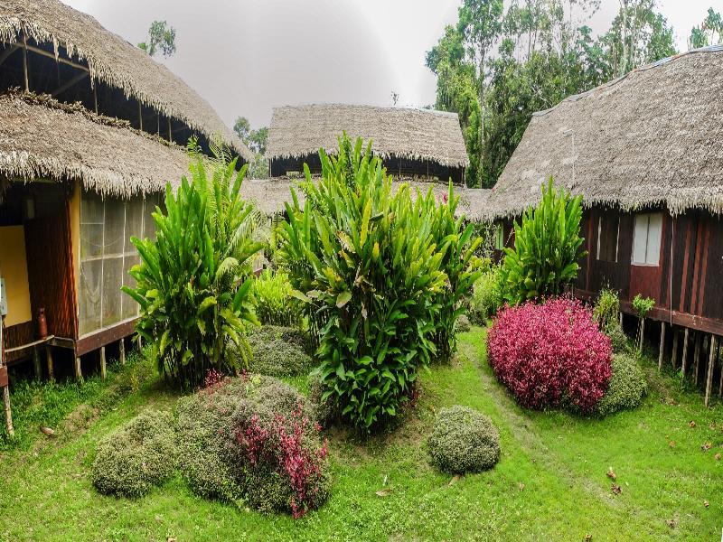 Lodge Heliconia Amazon River