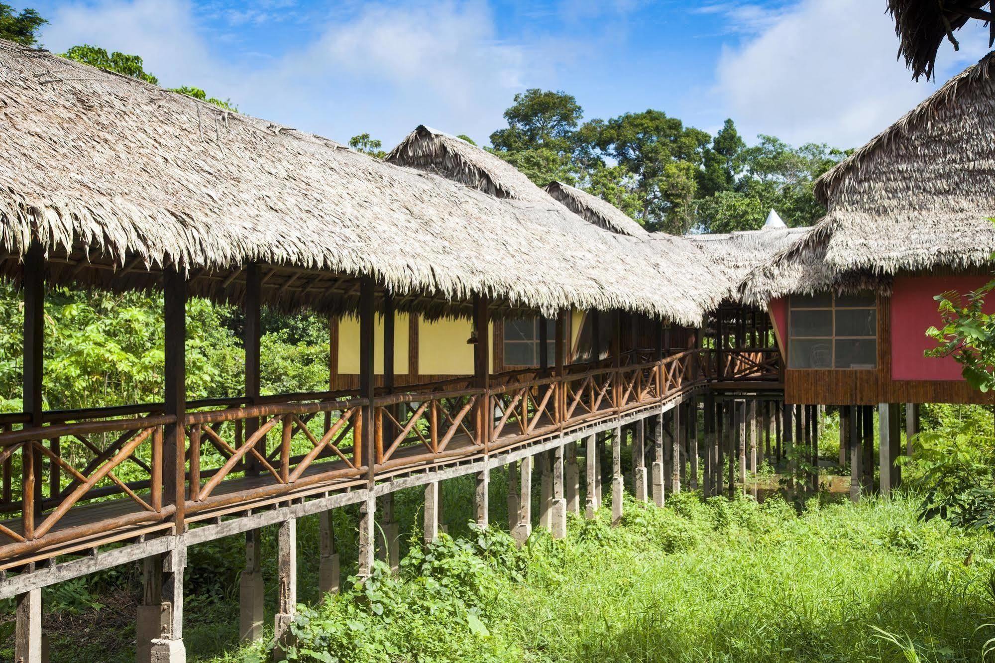 Lodge Heliconia Amazon River *