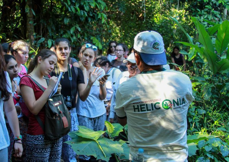 Heliconia Amazon River Francisco de Orellana
